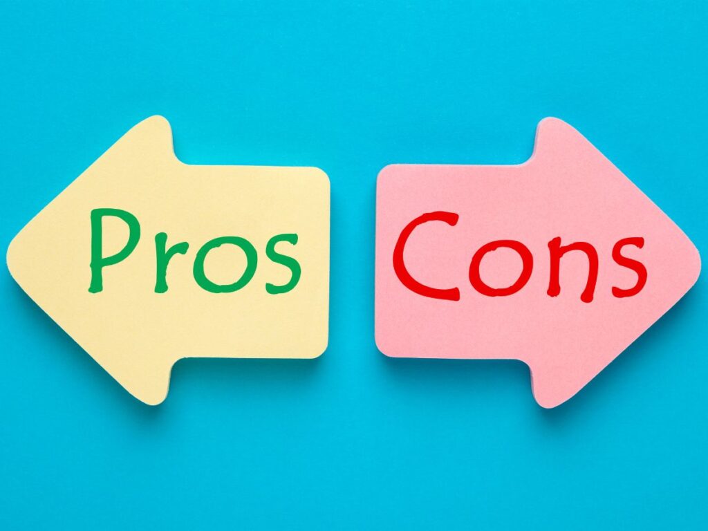 Pros and Cons of Seeking Business Plan Writing Help